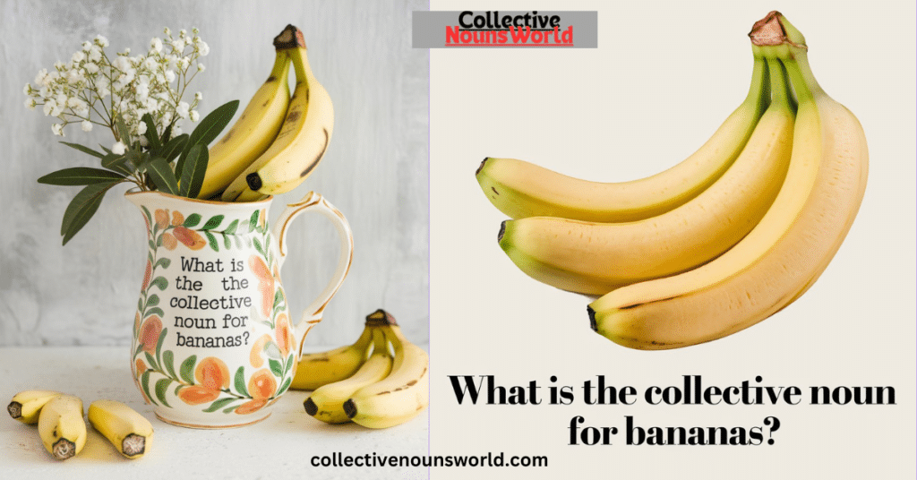 collectivenoun for banana