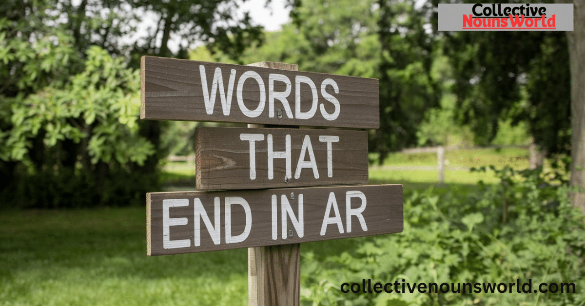 words that end in ar