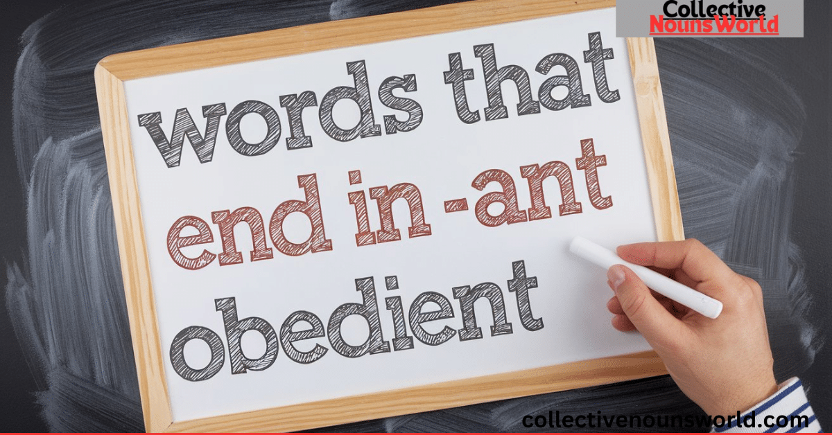 Words that end in ant