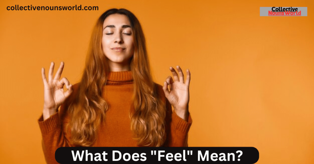 Meaning of Feel