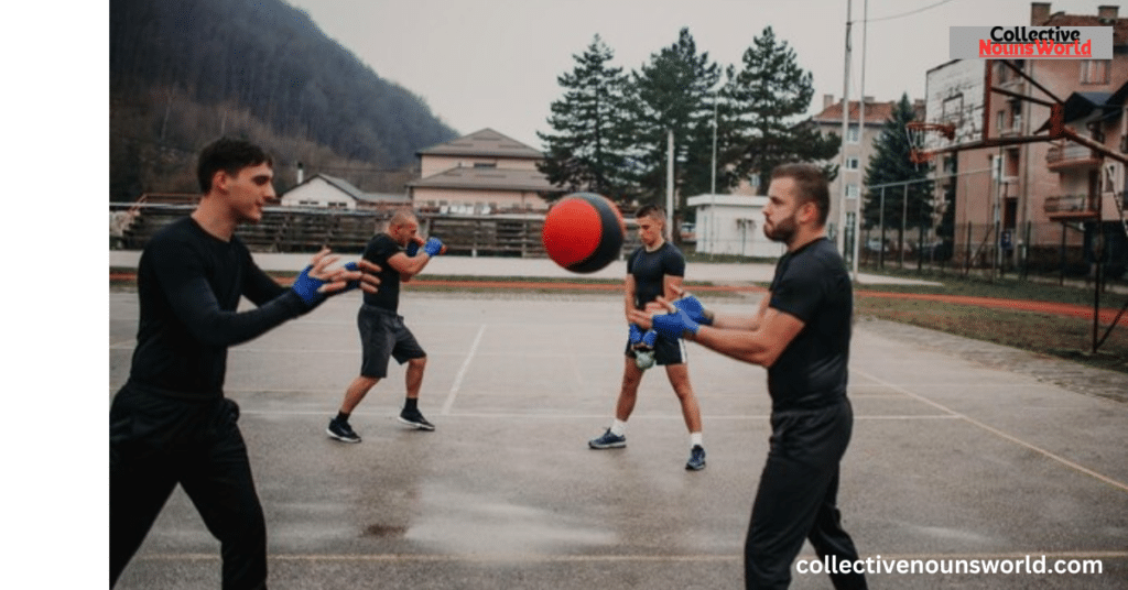 Dodgeball Team