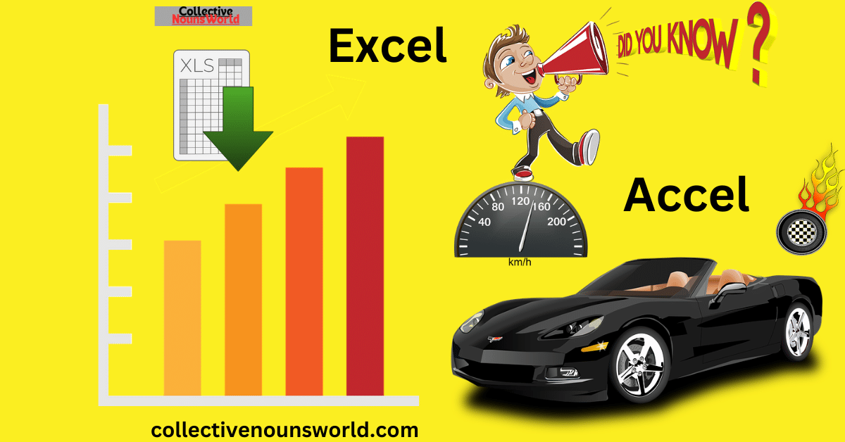 Excel or Accel