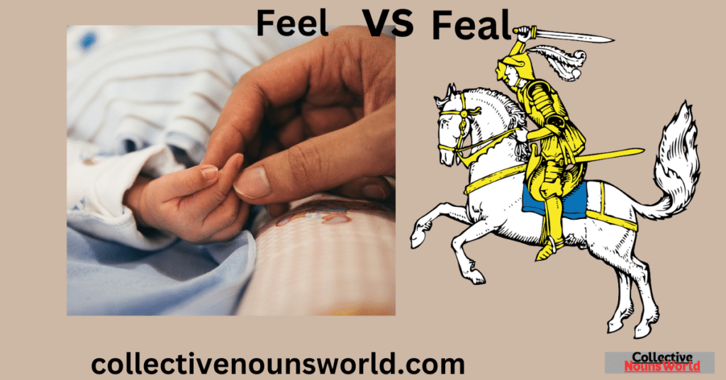 Feal vs Feel