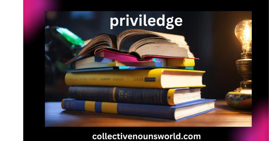 Priviledge Or Privilege