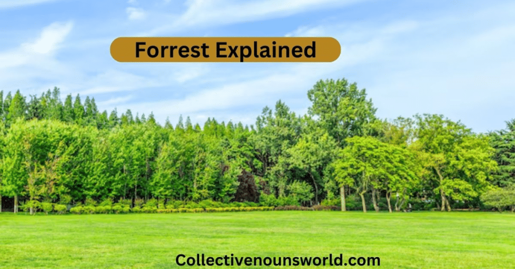 Spelling of forest and forrest