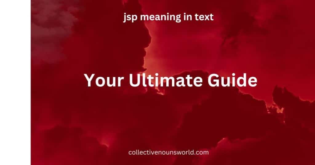 jsp meaning in text