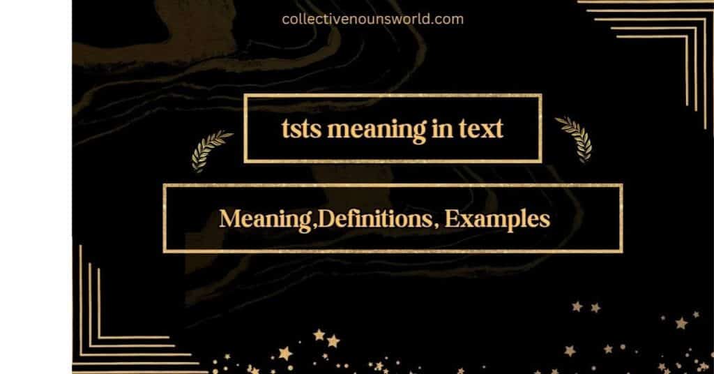 tsts meaning in text