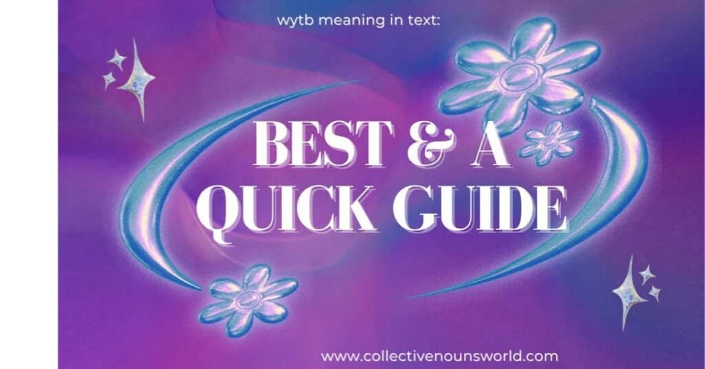 wytb meaning in text