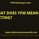 yfm meaning in text