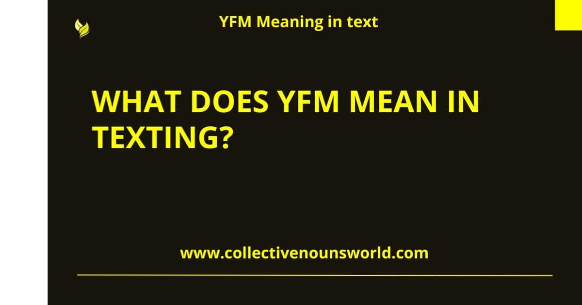 yfm meaning in text