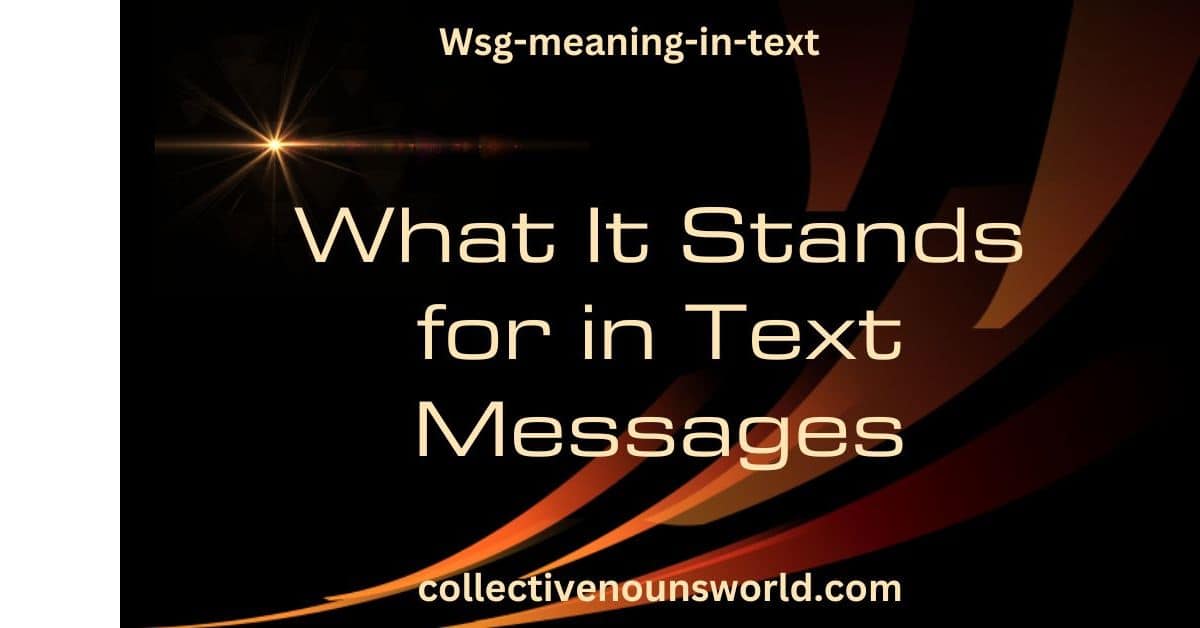 Wsg-meaning-in-text