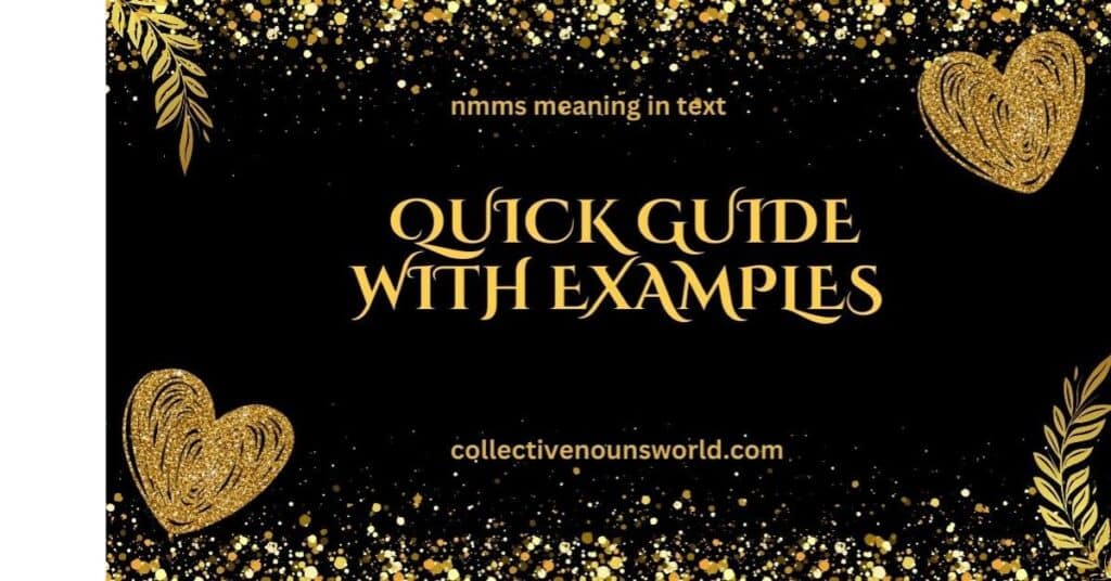 nmms meaning in text