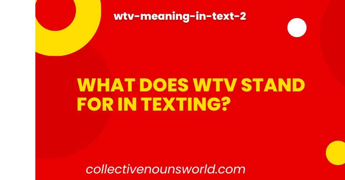 wtv-meaning-in-text