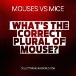 Mouses vs Mice