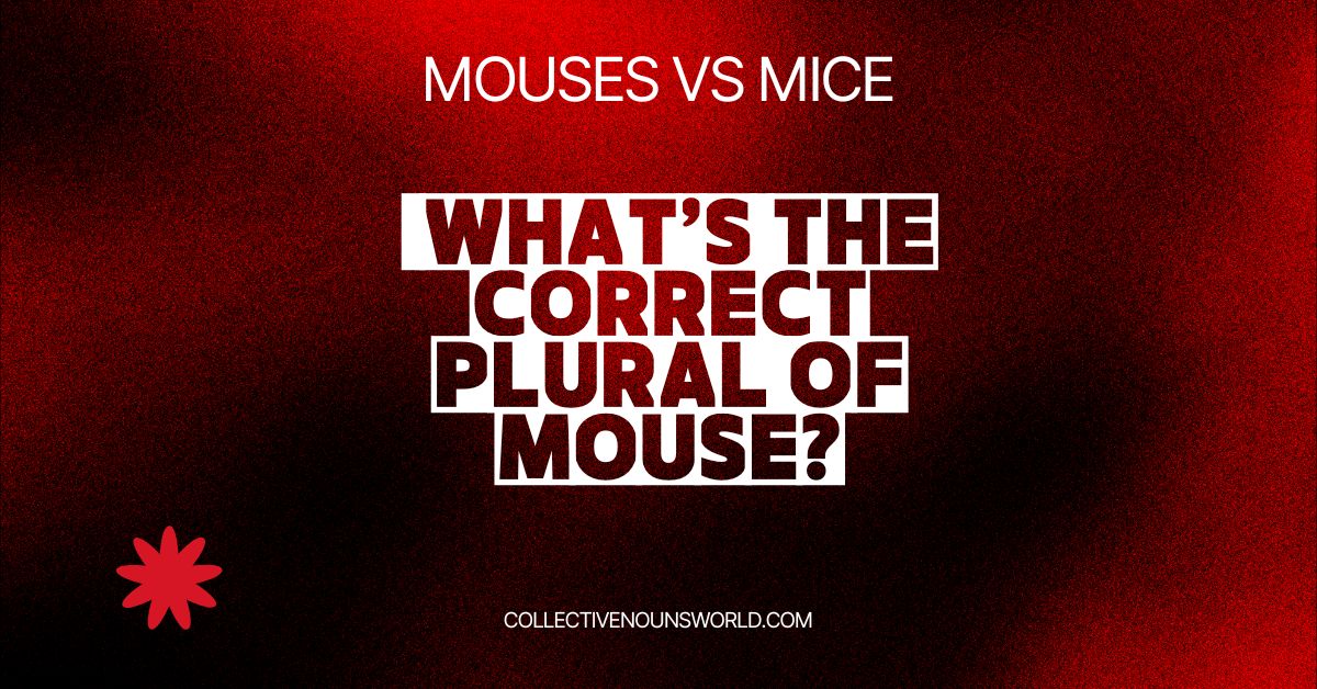 Mouses vs Mice