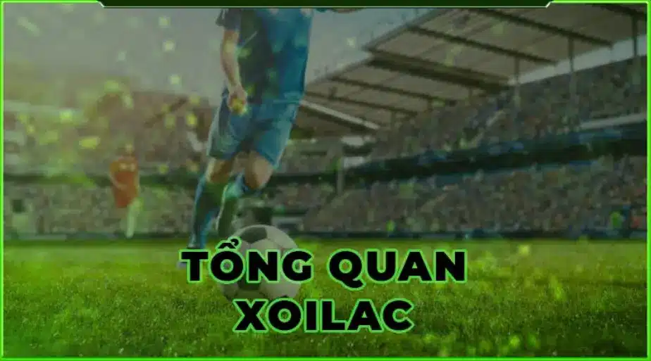 Xoilac TV No Ads, No Delays, Just Pure Football